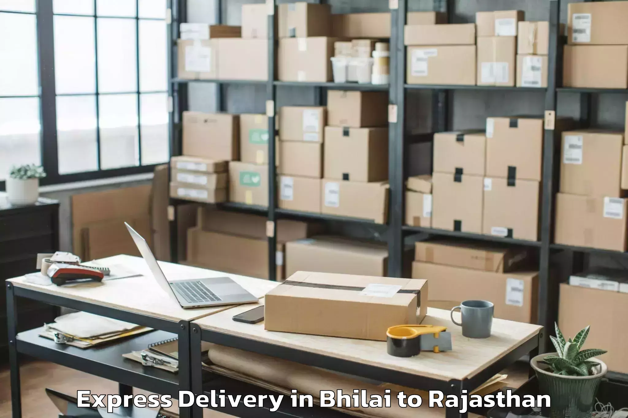 Book Bhilai to Raj Rishi Bharthari Matsya Uni Express Delivery Online